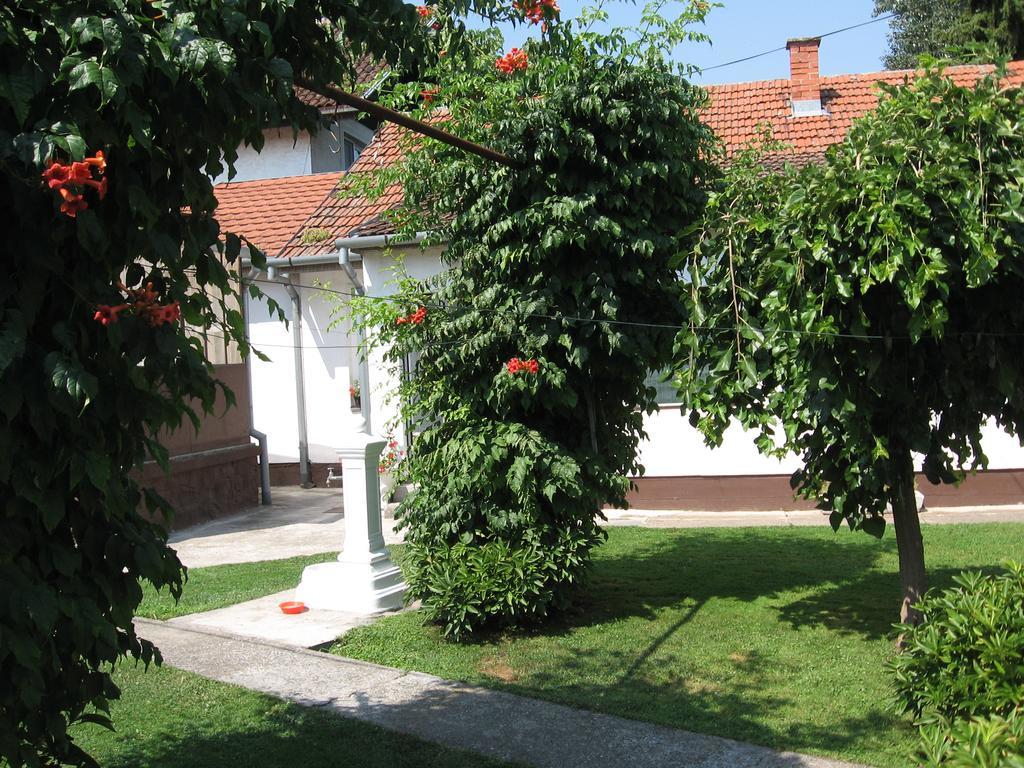 Green Apartment Нови-Сад Экстерьер фото